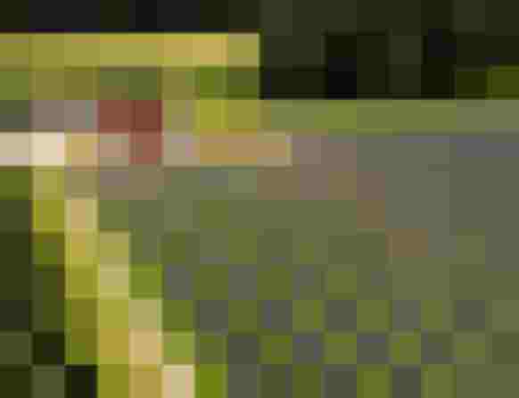 Wiesenstrom Lamprechtshausen; Bild Salzburg AG